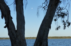 The moon rises over Lake Elphinmstone.