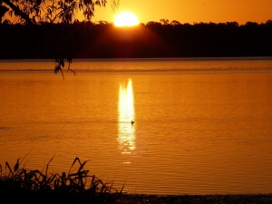 A golden morning at Lake Elphinstone.