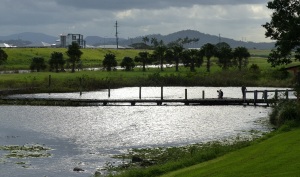 The Mackay Wetlands Lagoon with walkway to the centre. Keep and eye out for snakes sunning on the planks.