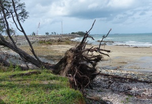 A victim of the last cyclone and tidal surges at Half Tide Beach. In the background is the breakwall made of granite. The breakwall was constructed to join up with a small island just offshore.